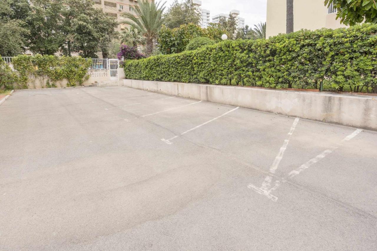 Delfín san juan Alicante Exterior foto